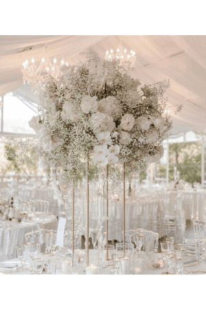 Location pack gold mariage (1)